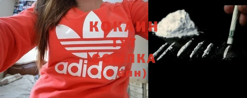 Cocaine 99%  MEGA ССЫЛКА  Копейск  сколько стоит 