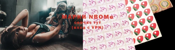 шишки Краснослободск