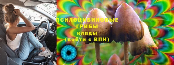 MDMA Premium VHQ Богородицк