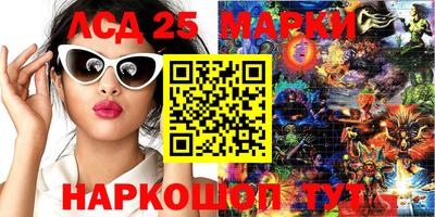 прущие крисы Кандалакша