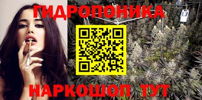 скорость Канаш