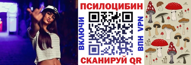 Галлюциногенные грибы Psilocybine cubensis  Копейск 