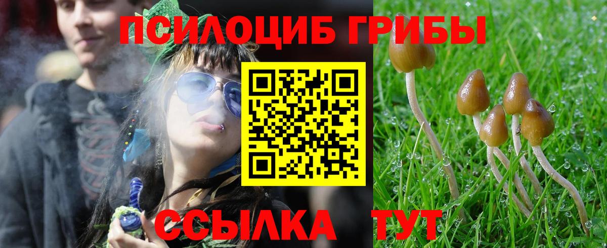Псилоцибиновые грибы мицелий  Вход с VPN  Копейск  Галлюциногенные грибы ЛСД 